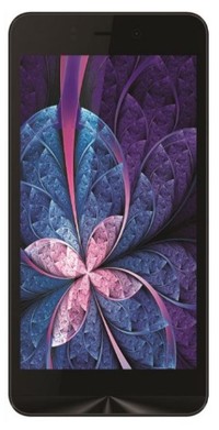 Intex